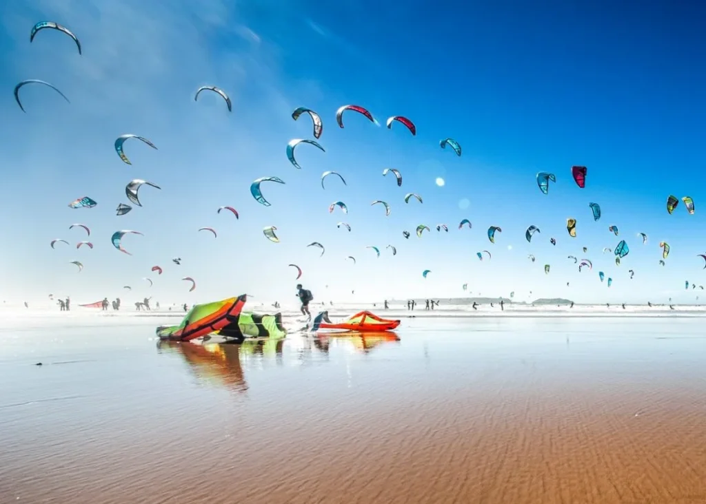 Kite